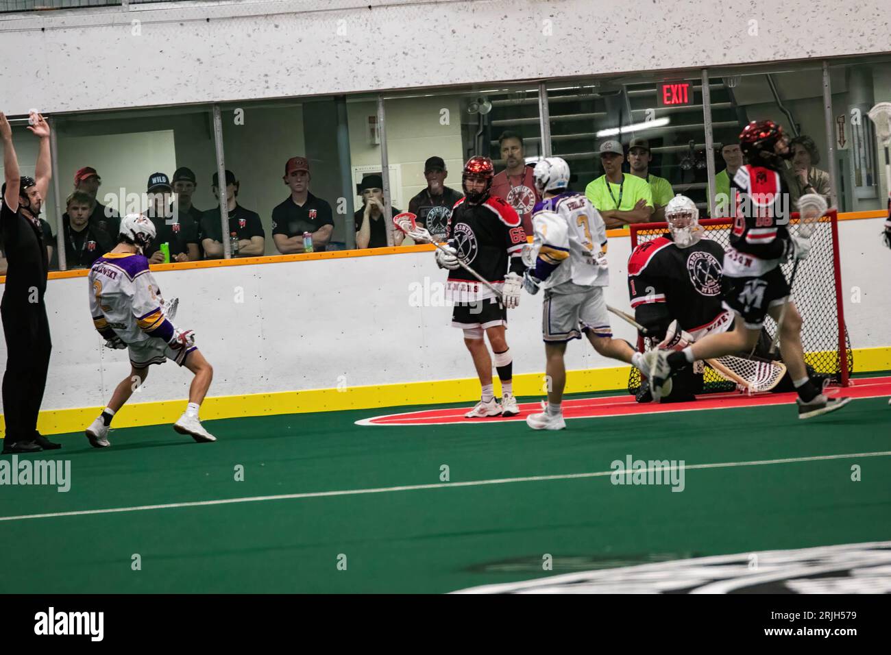 Edmonton, Canada. 20th Aug, 2023. Coquitlam Adanacs (White Yellow) Cody Malawski (2) celebrates his goal in Minto Cup Day 2 action between Edmonton Miners and Coquitlam Adanacs at Bill Hinter Arena. Final Score: Edmonton Miners vs Coquitlam Adanacs, 11:15 The Minto Cup is the National Junior A Box Lacrosse championship. The Minto Cup was donated in 1901 by Sir Gilbert John Murray Kynmond Elliot, and was formally made the trophy for the Junior A National box lacrosse championship in 1937. (Photo by Ron Palmer/SOPA Images/Sipa USA) Credit: Sipa USA/Alamy Live News Stock Photo
