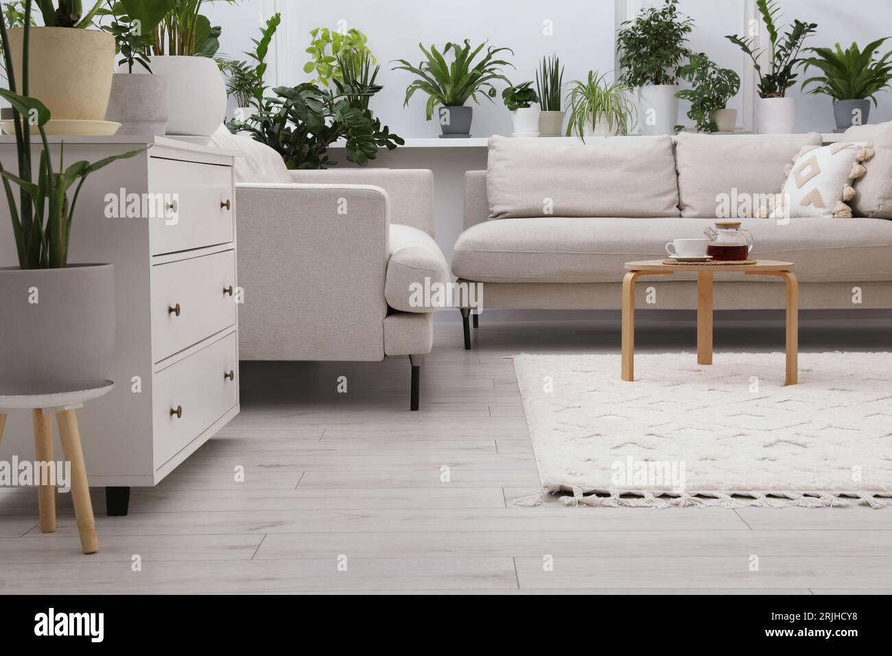 Stylish room with different potted green plants and modern furniture ...