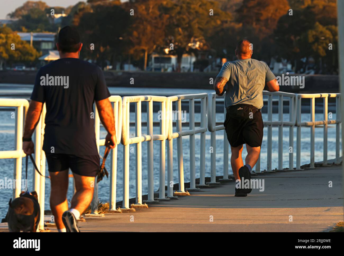 Random man, guy, people walking a dog, man running away from the camera ...
