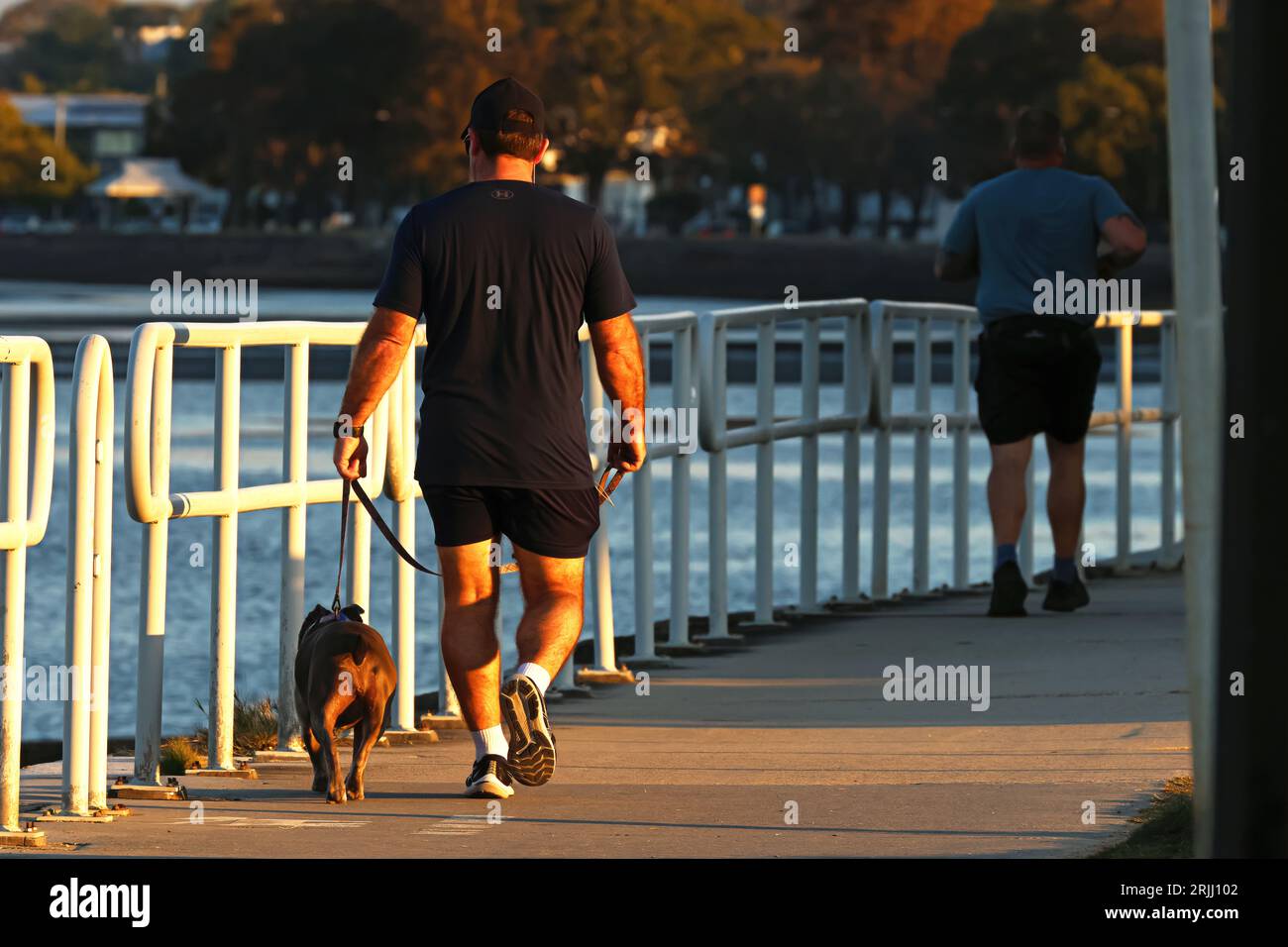 Random man, guy, people walking a dog, man running away from the camera ...
