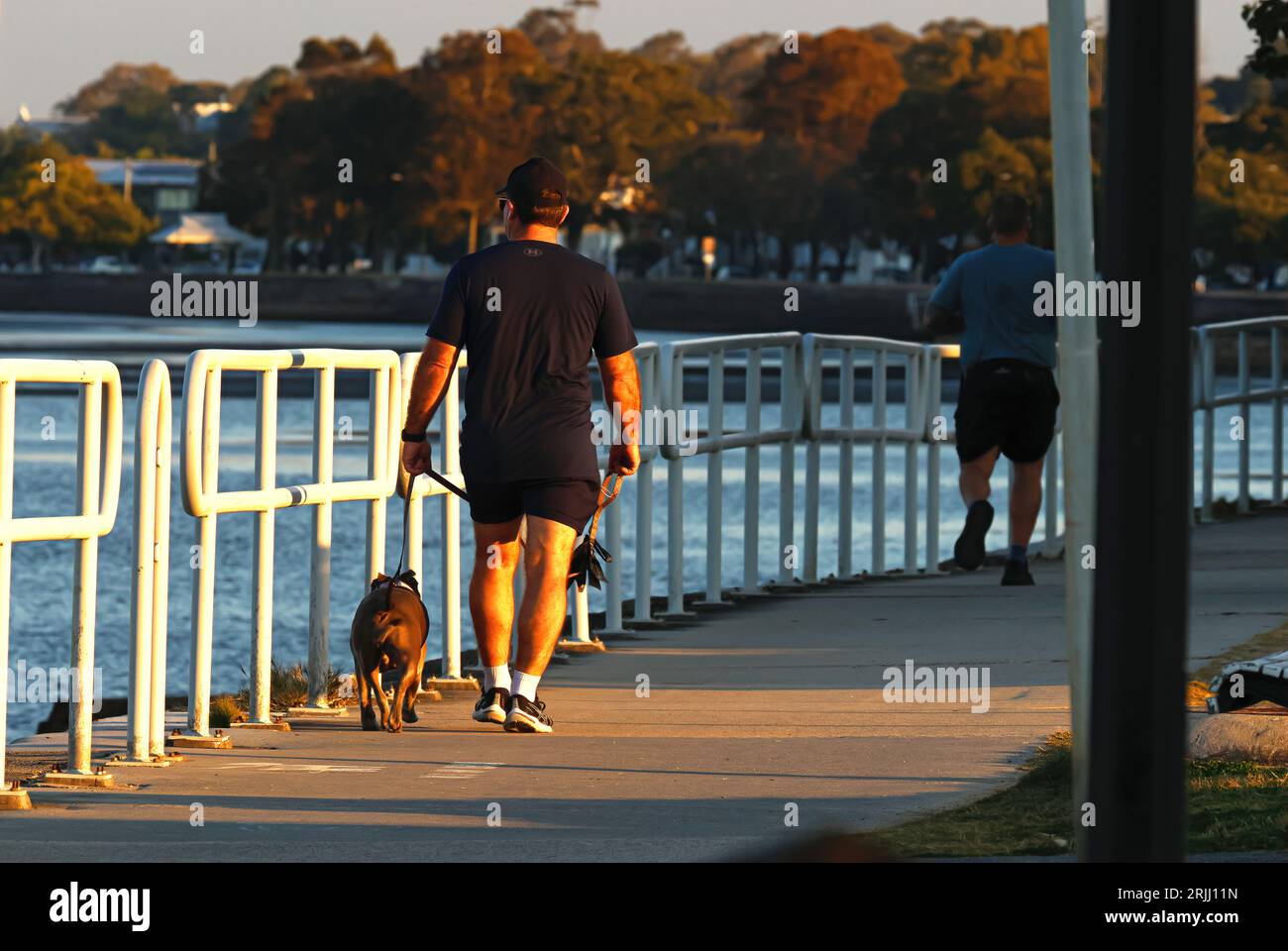 Random man, guy, people walking a dog, man running away from the camera ...