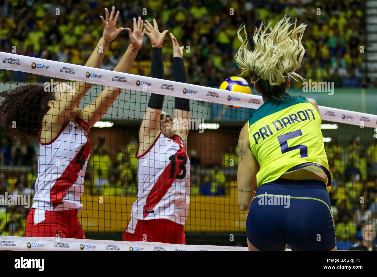 Vôlei Brasil