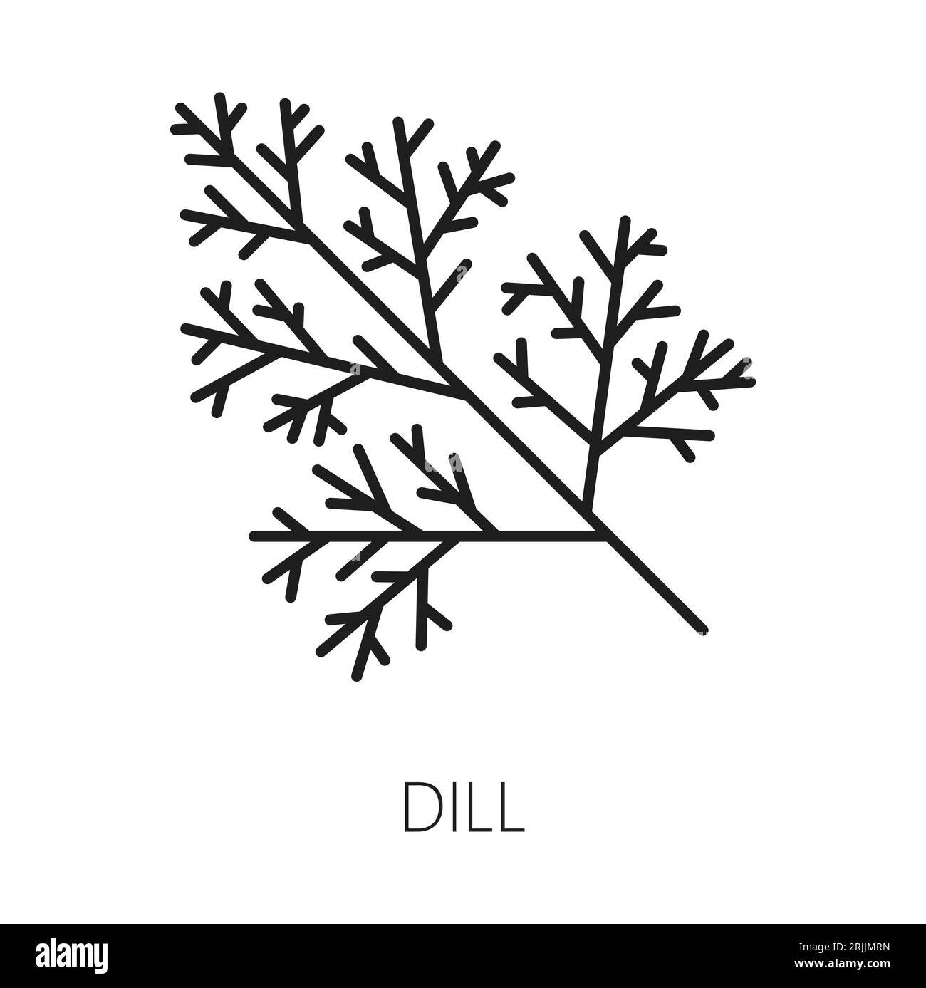 Dill seasoning herb condiment isolated outline icon. Vector perennial plant, annual herb, flavoring spicy fennel branch, thin line Stock Vector