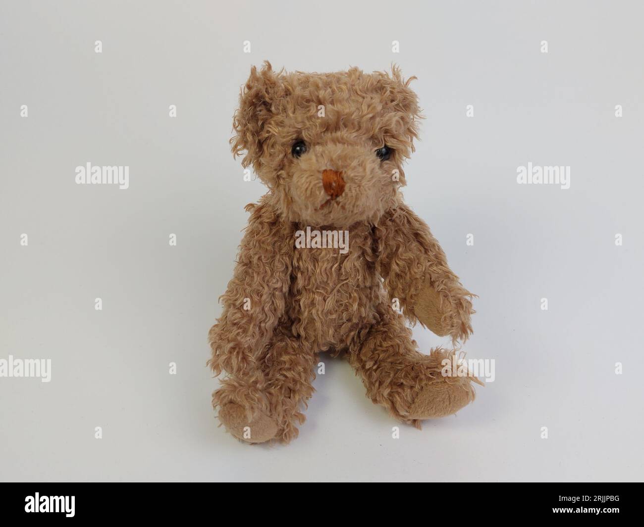 A plush, brown teddy bear on a white background Stock Photo - Alamy