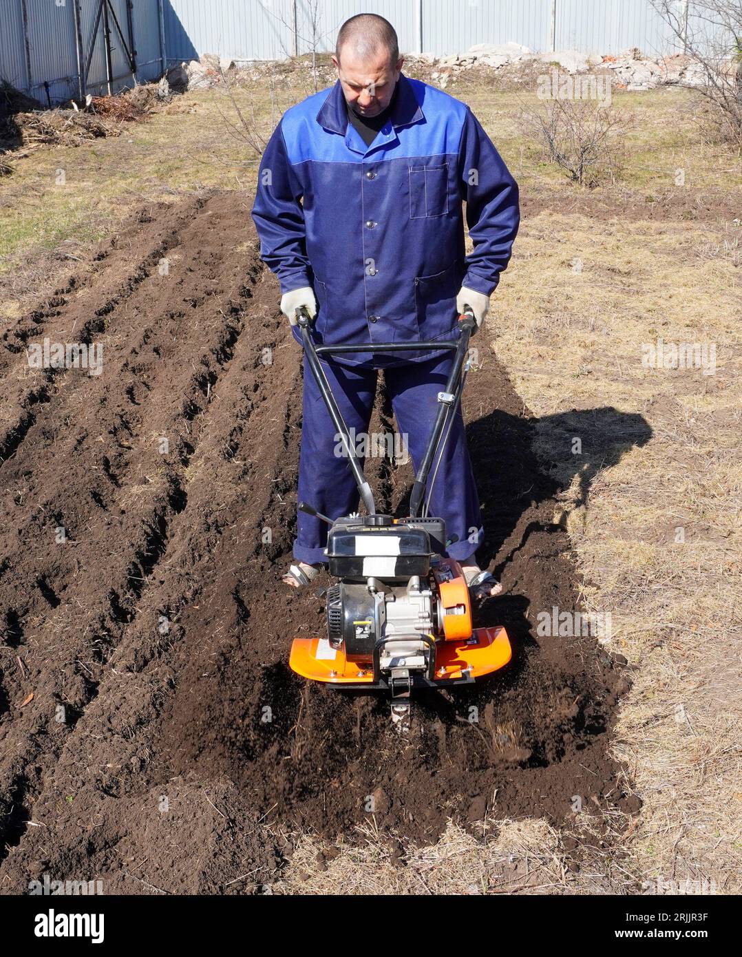 A man works in a vegetable garden in early spring. Digs the ground ...