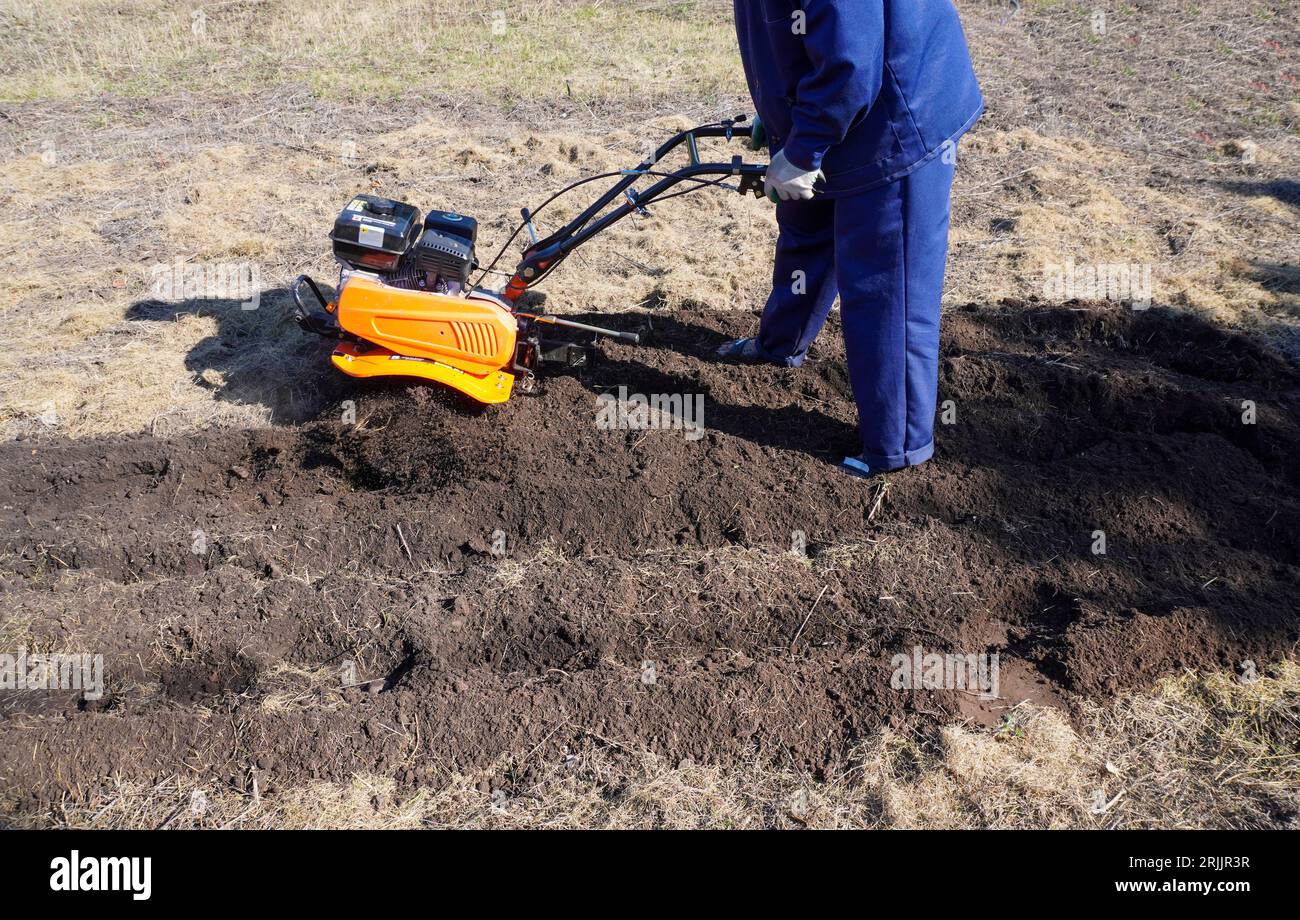 A man works in a vegetable garden in early spring. Digs the ground ...