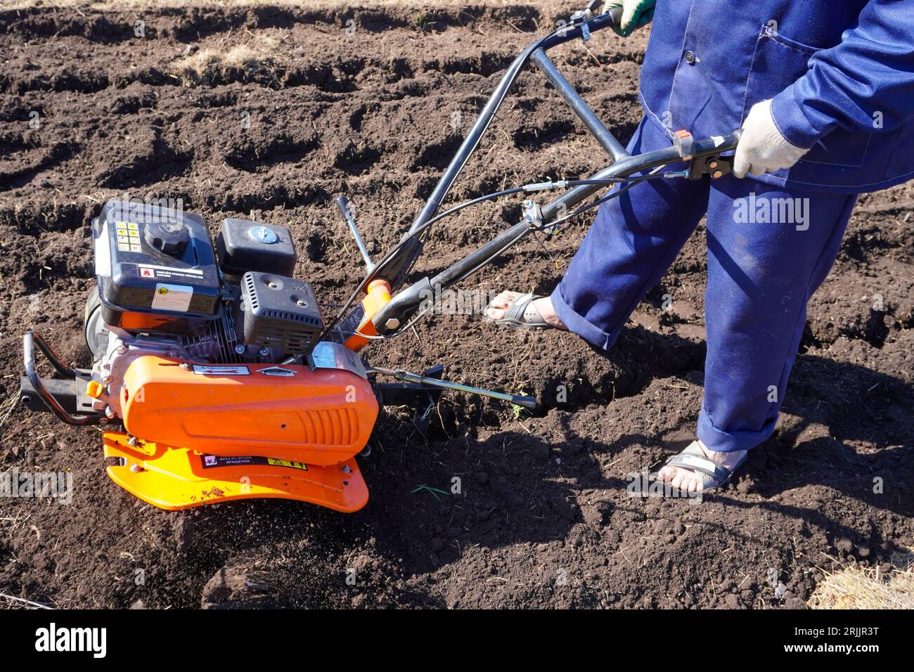 A man works in a vegetable garden in early spring. Digs the ground ...
