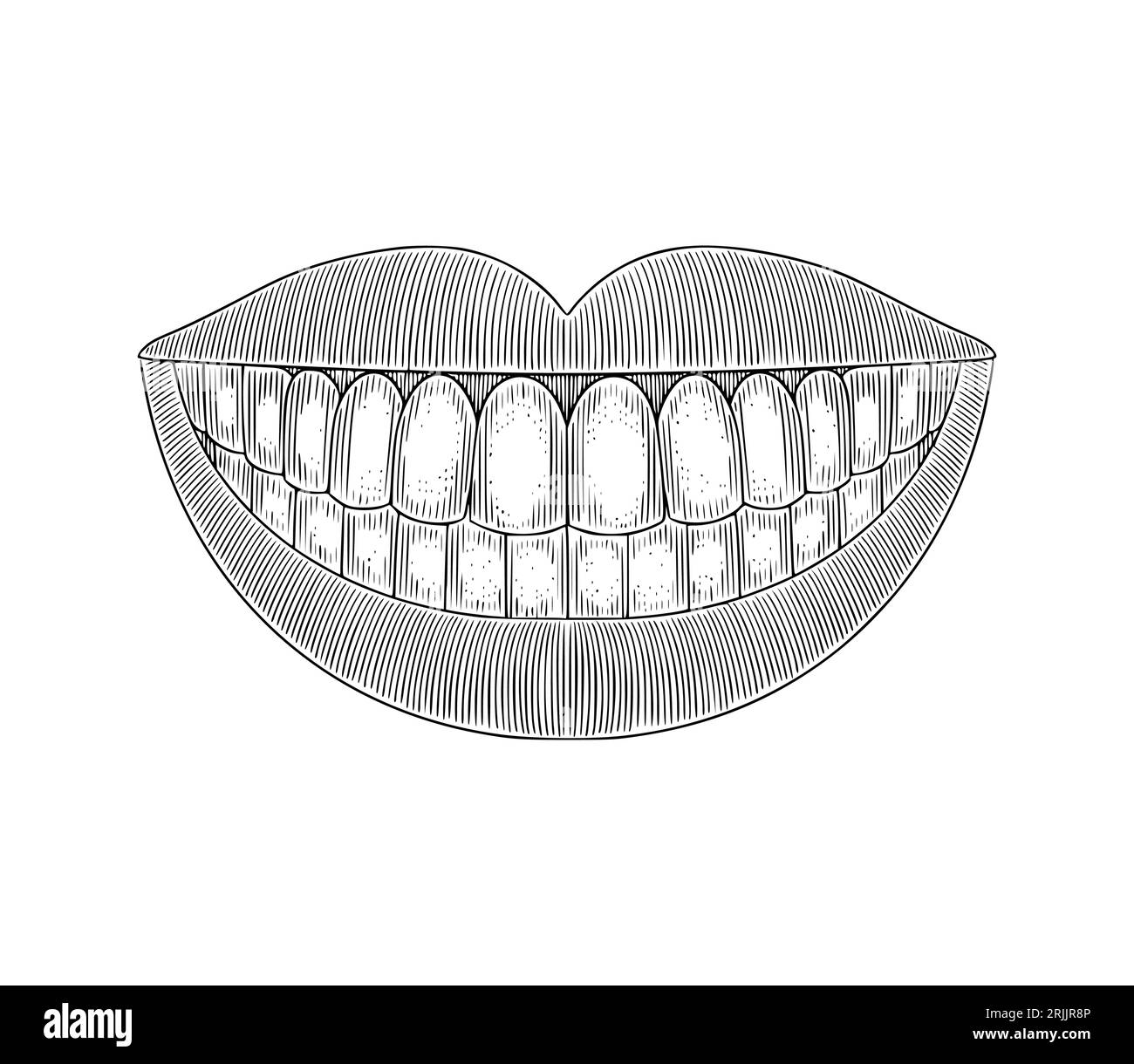 smiling mouth showing teeth. vintage engraving drawing style vector illustration Stock Vector