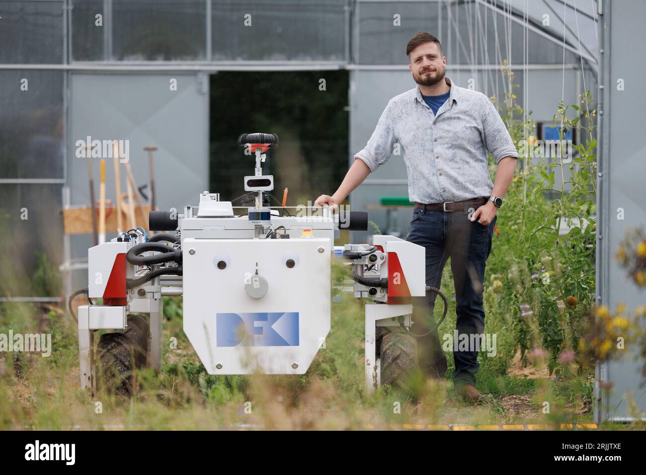 Bohmte, Germany. 02nd Aug, 2023. Benjamin Kisliuk, a DFKI scientist, stands  next to an autonomously controllable robot in a greenhouse. The German  Research Center for Artificial Intelligence (DFKI) conducts research and  development