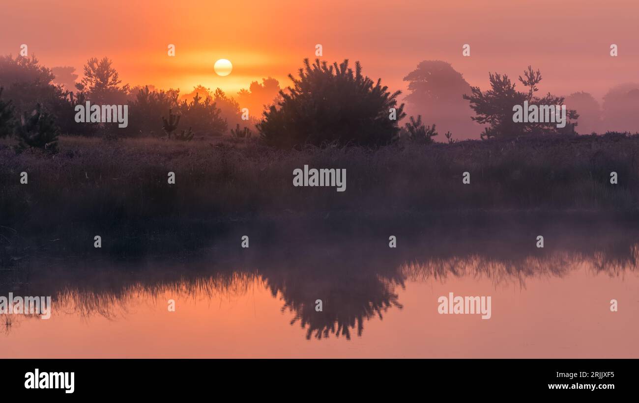 A horizontal 16:9 photo of a foggy sunrise at the Grenspoel, right on the border of the provinces of Drenthe and Friesland. Grenspoel is part of the A Stock Photo