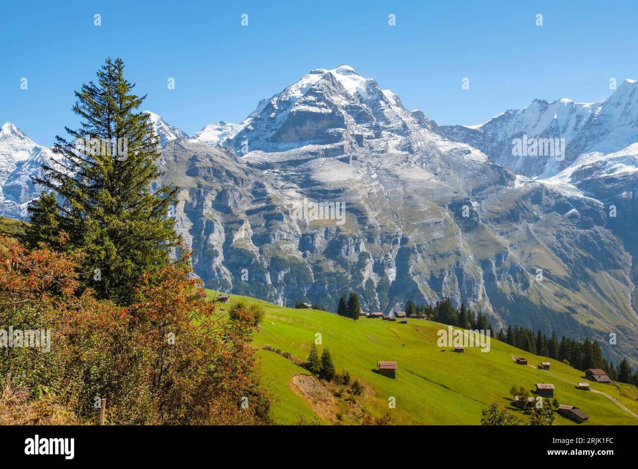 Traditional alpine village in touristic valley Lauterbrunnen ...