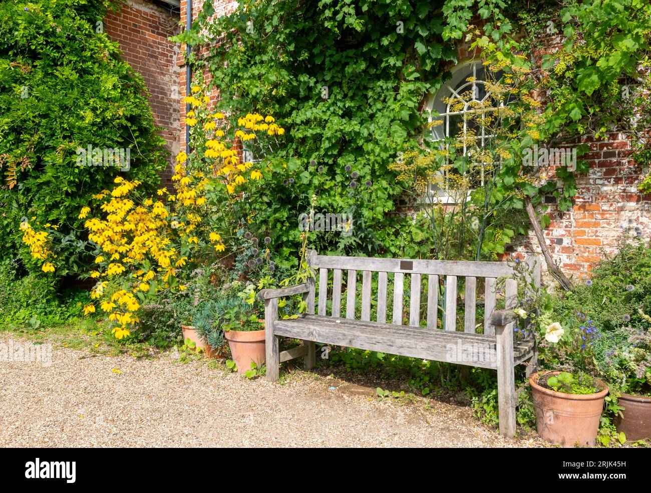 Flatford Mill, East Bergholt, Suffolk, England, UK - Yellow rudbeckia flowers Stock Photo