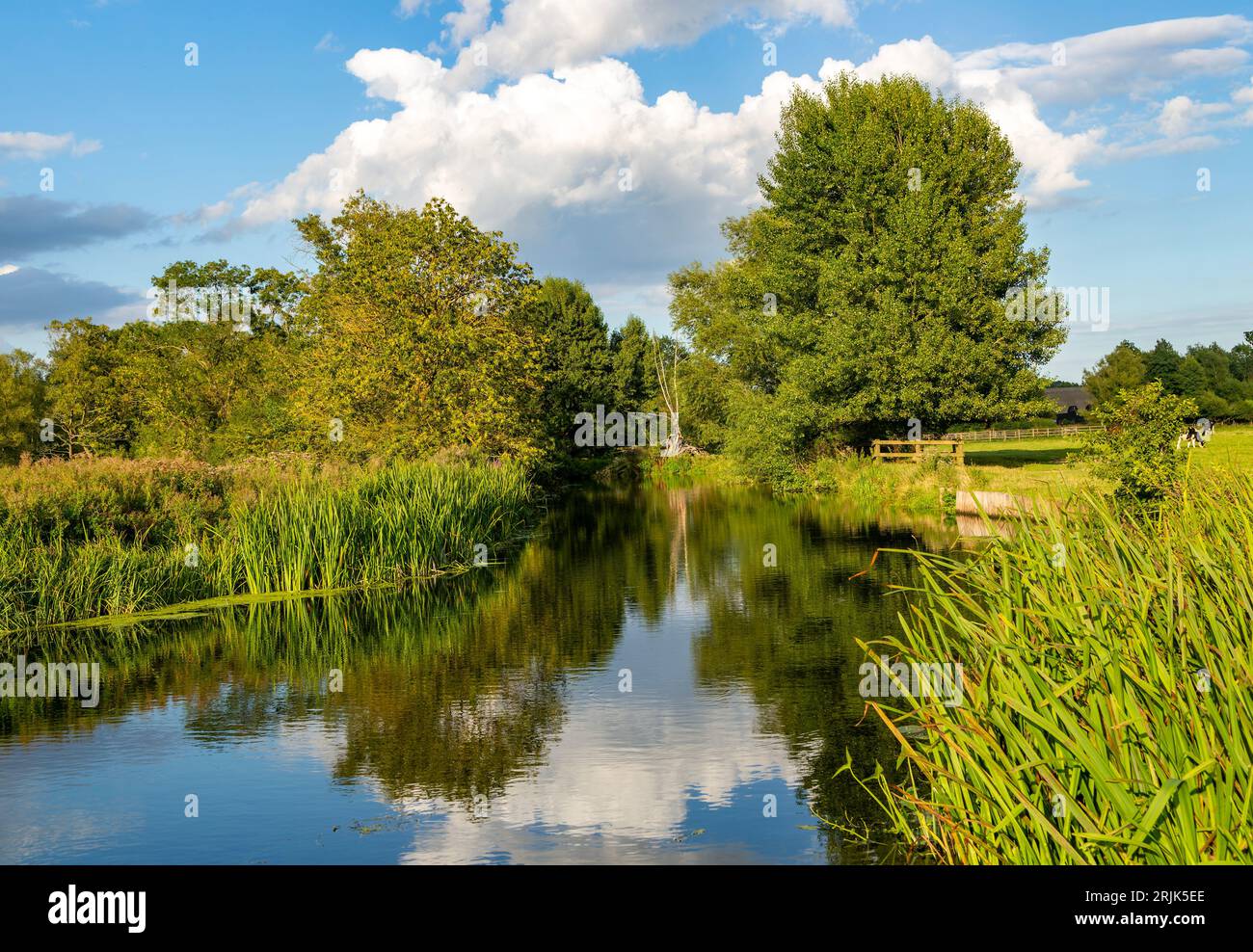 River Stour landscape, Dedham Vale, East Bergholt, Suffolk, England, UK