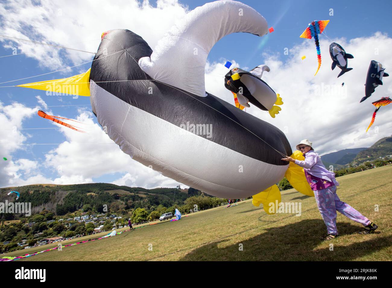 New zealand colour hires stock photography and images Alamy