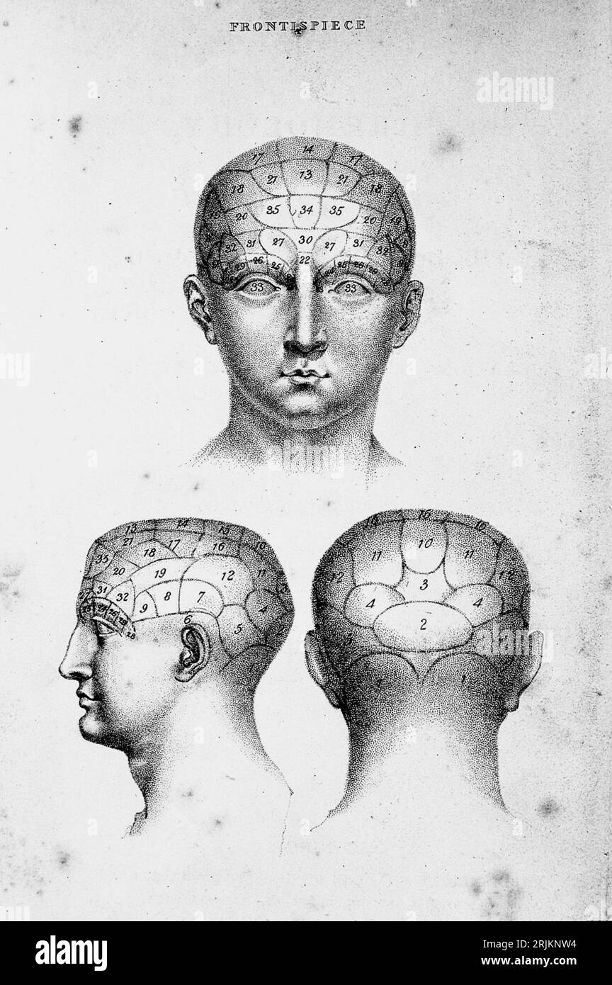 Made of papier mache, painted, numbered, black and white. Shows