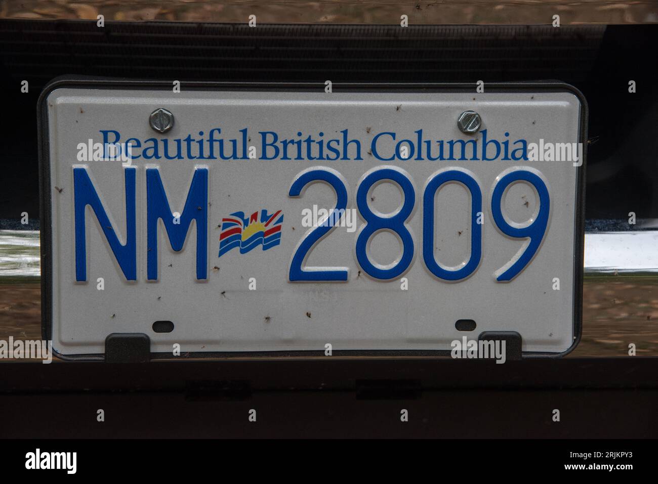 licence plate of a Truck camper parking along a dirt road just aside