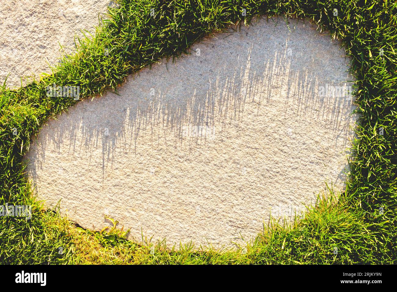A vibrant patch of grass growing from a concrete wall, perfect for use as a background in design projects Stock Photo