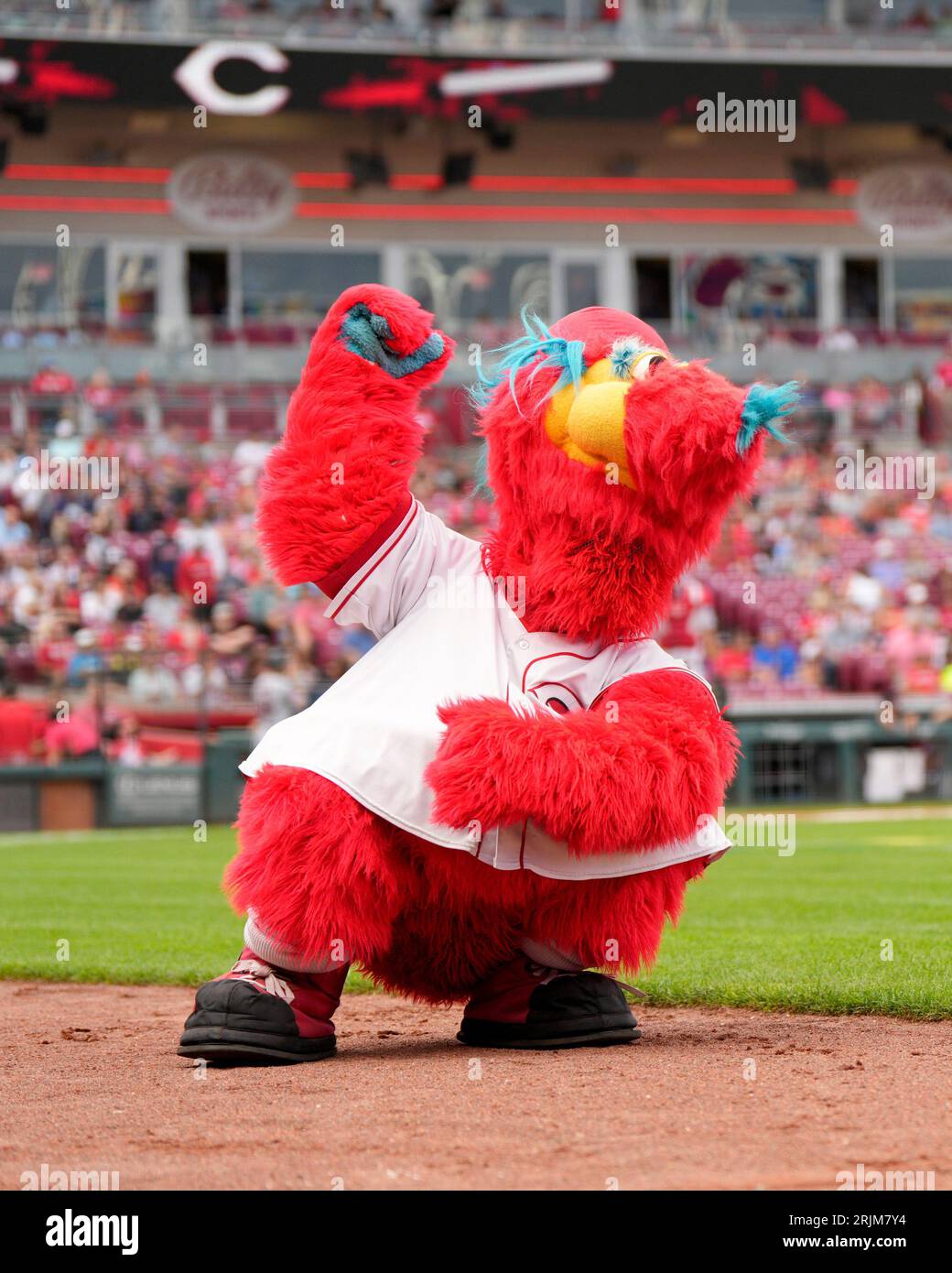 Cincinnati Reds mascot Gapper performs during a baseball game against