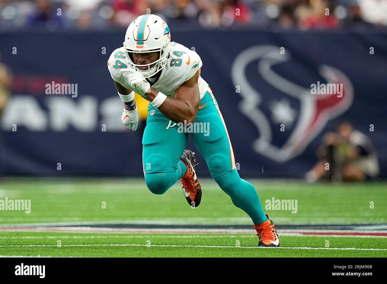 Miami Dolphins tight end Elijah Higgins (84) during an NFL preseason  football game against the Houston Texans Saturday, Aug. 19, 2023, in  Houston. (AP Photo/Eric Gay Stock Photo - Alamy, image size:1300x956