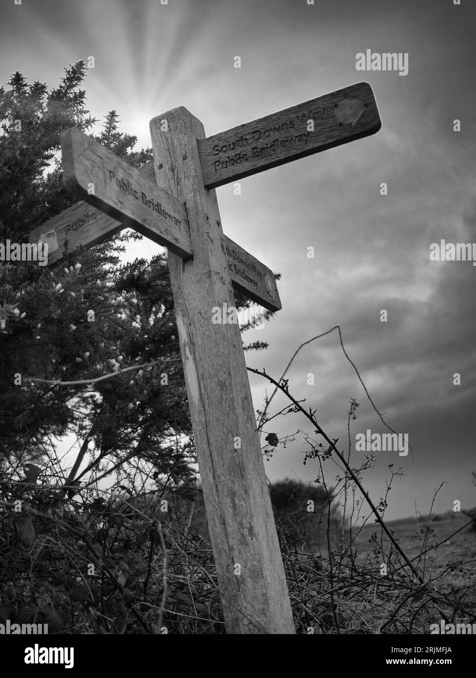 A vertical grayscale shot of a wooden direction sign in a field Stock Photo