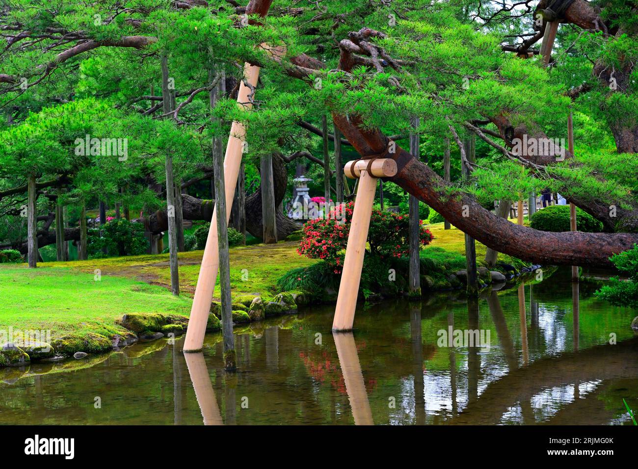 Japan, Kanazawa city, Kenroku-en garden. Kenroku-en Garden is one of ...