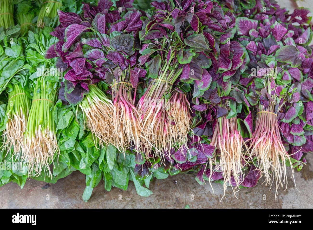 Bunch of Red Amaranth at Farmers Market in Hong Kong Stock Photo
