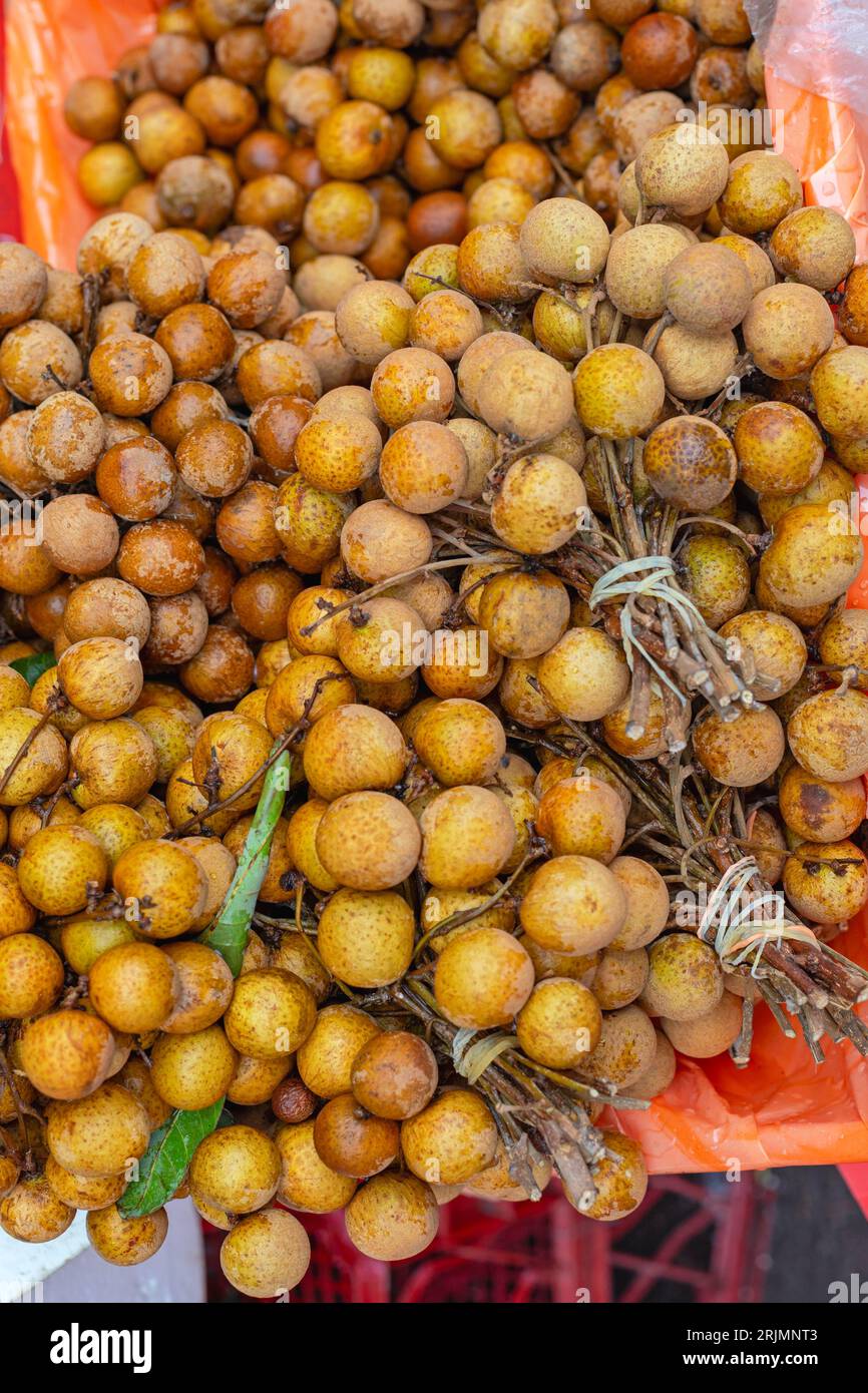 Bunch of Tropical Longan Fruit at Asian Farmers Market Hong Kong Stock Photo