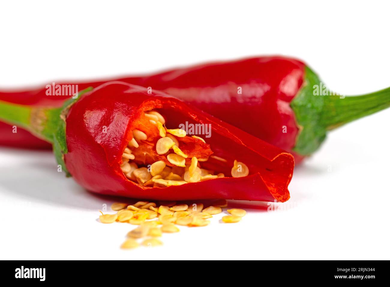 Spanish pepper seeds, Capsicum annuum Stock Photo Alamy