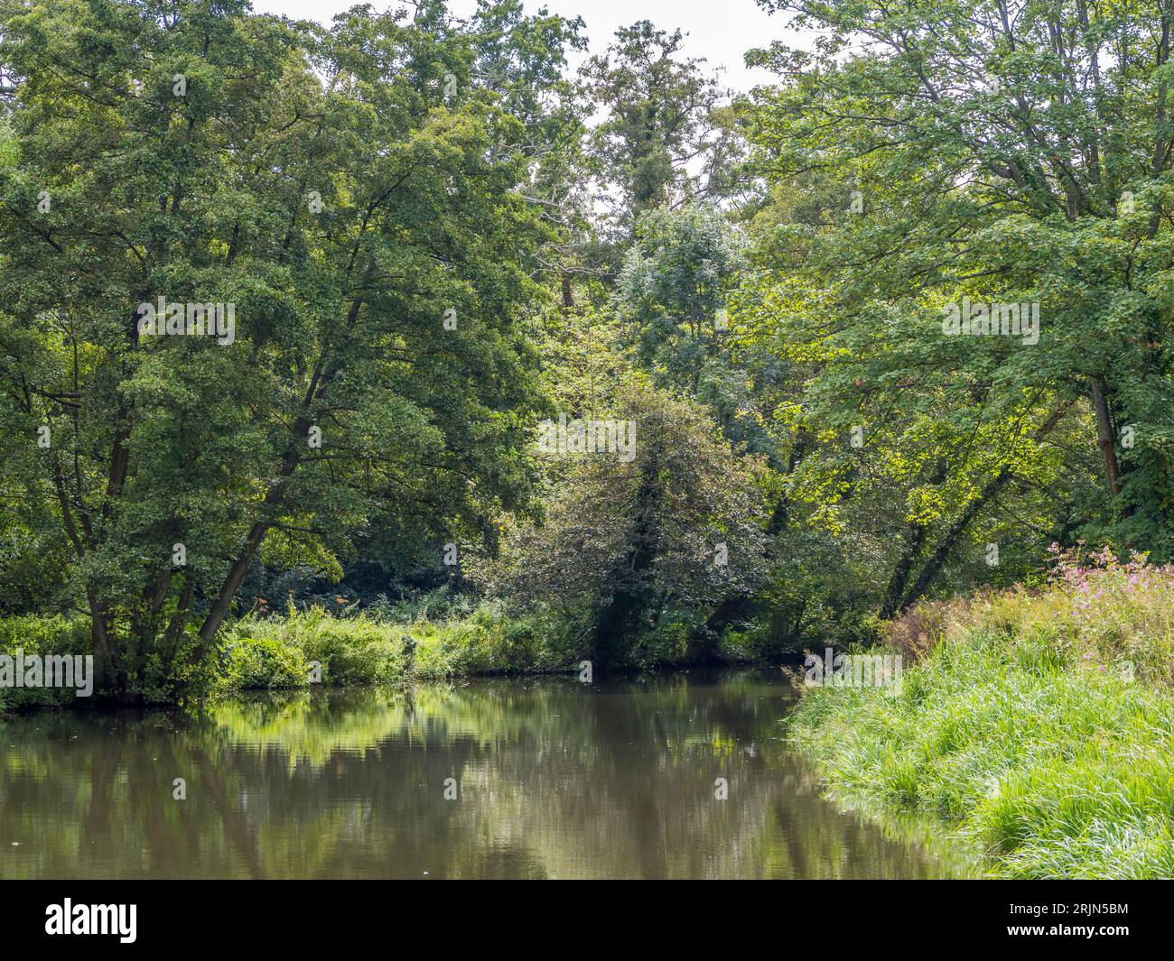 The wild river hi-res stock photography and images - Alamy