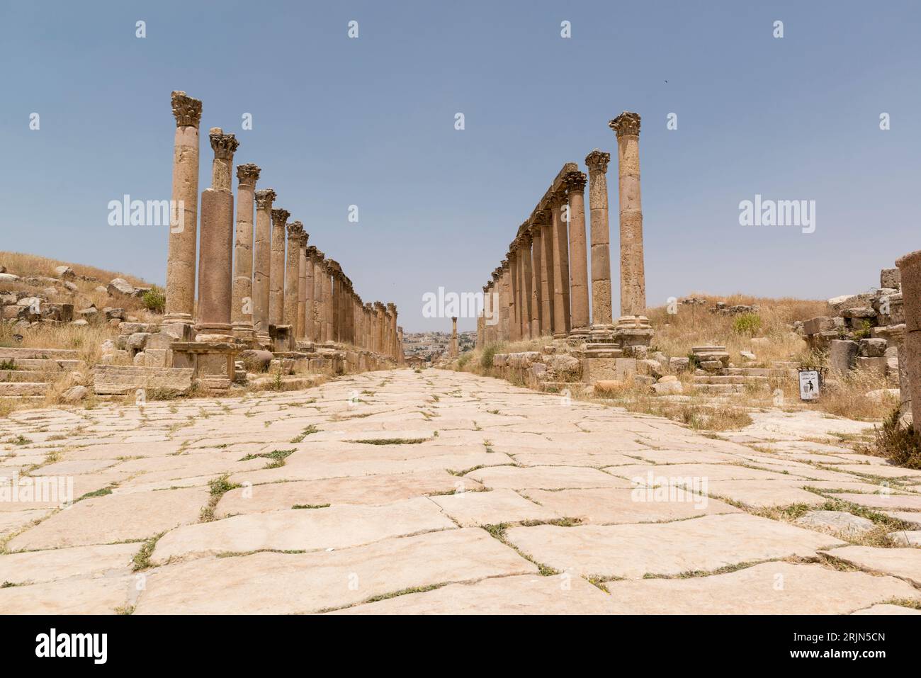 The cardo maximus, the main or central north–south-oriented street in the ancient Greco-Roman city of Gerasa  in present day Jerash, northern Jordan. Stock Photo