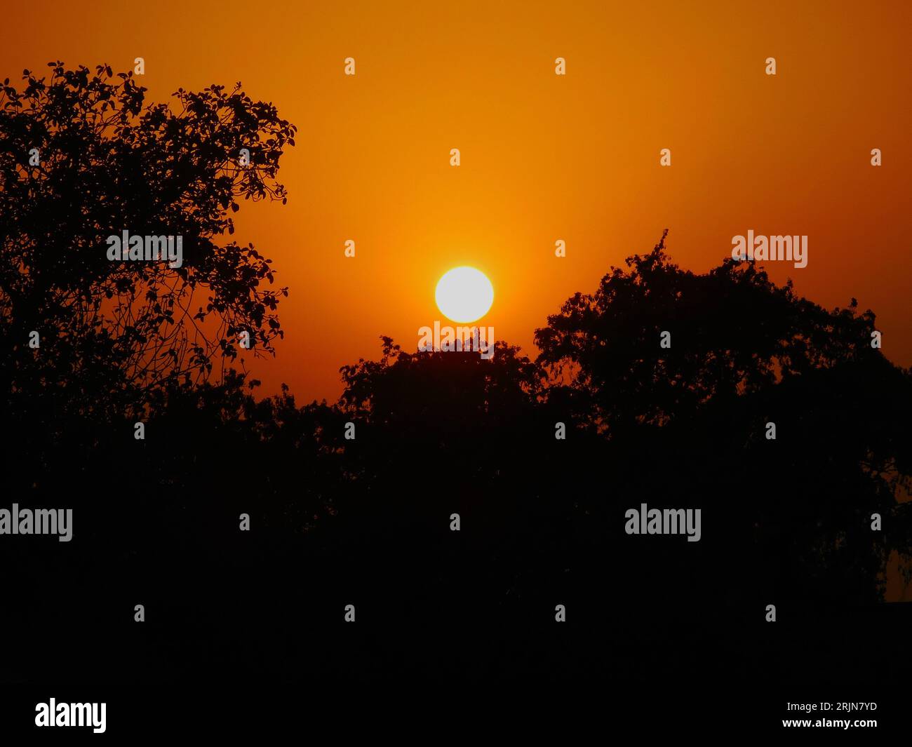 A stunning sunset illuminating a serene landscape with tall trees and ...