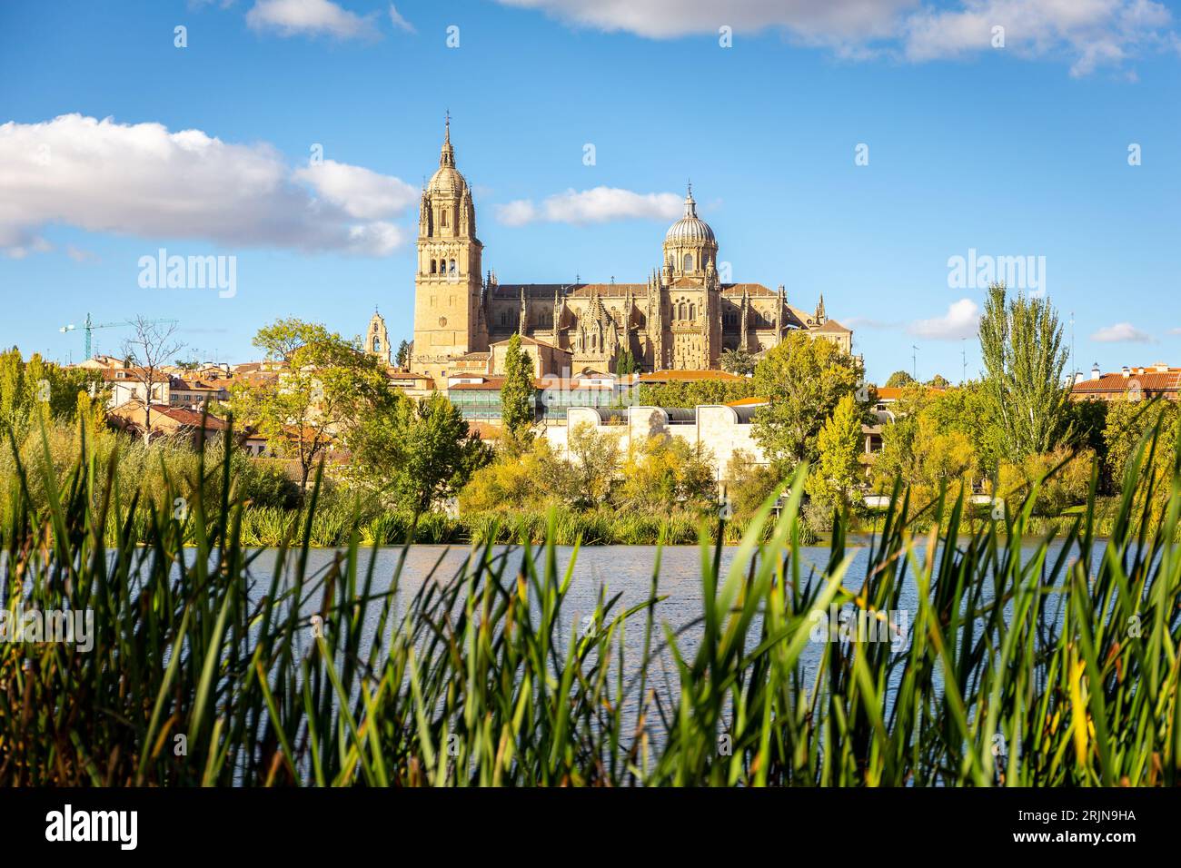 Maria Rive New Cathedral of Salamanca (Catedral Nueva) and Catedral Vieja de Santa ...