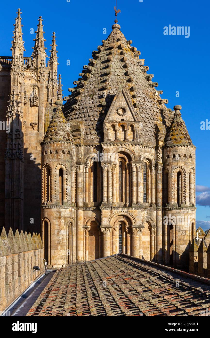 Catedral Vieja de Santa Maria de la Sede de Salamanca decorative towers, dome and roof with spires, gothic and baroque architecture, Spain. Stock Photo