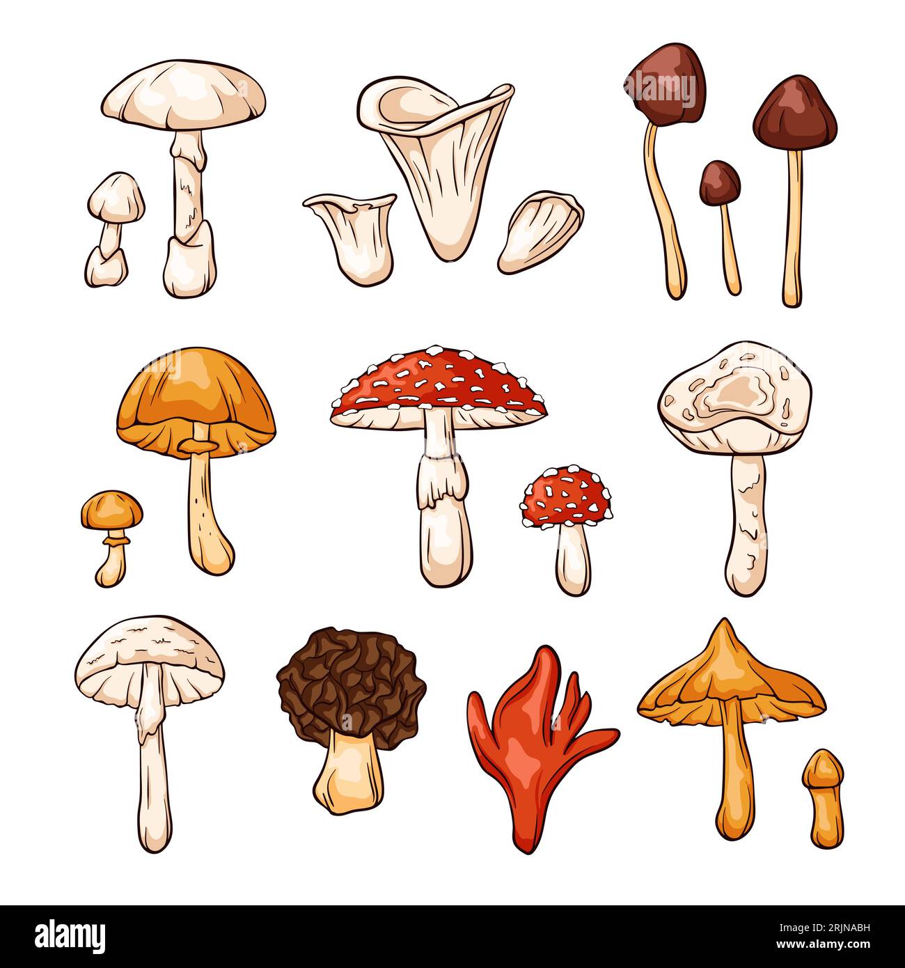 Hand drawn colorful inedible mushrooms collection in cartoon style. Fly Agaric, Autumn Skullcap, Deadly Webcap, False Morel, Poison fire coral. Vector Stock Vector