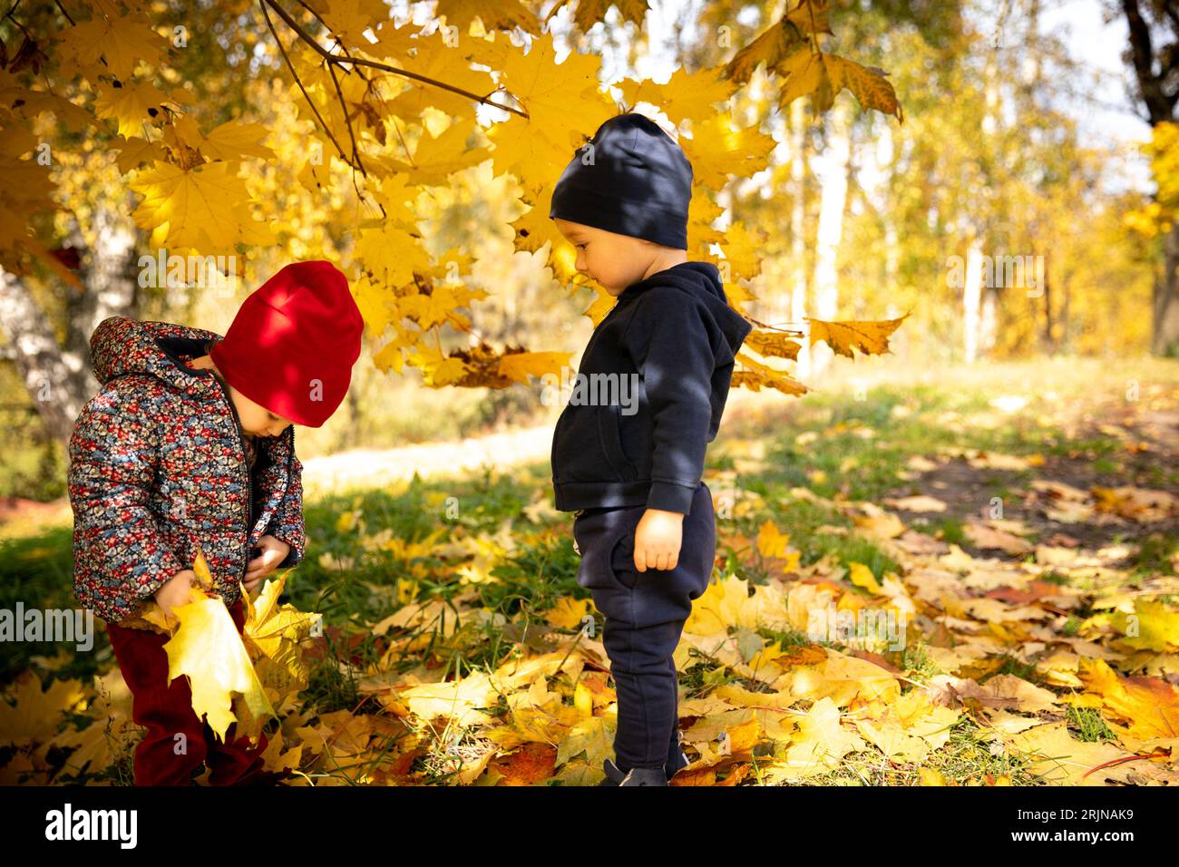 Two half year old toddler hi-res stock photography and images - Alamy