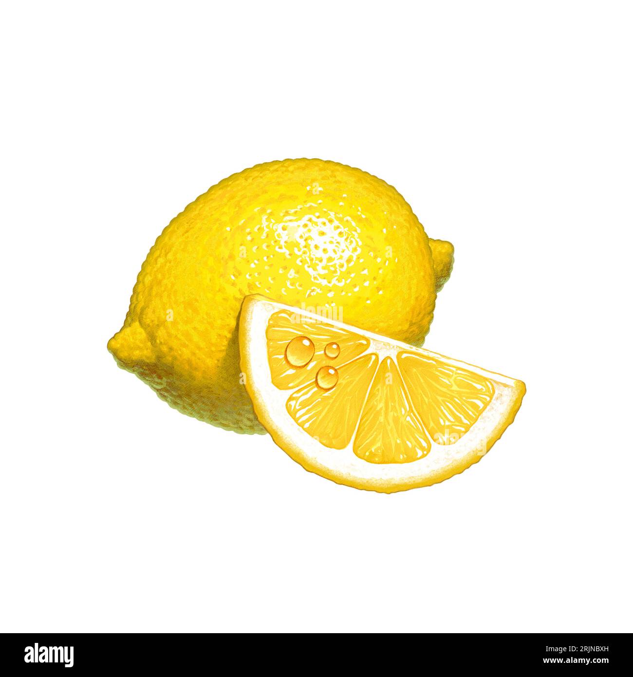 Illustrated Lemon Isolated Stock Photo