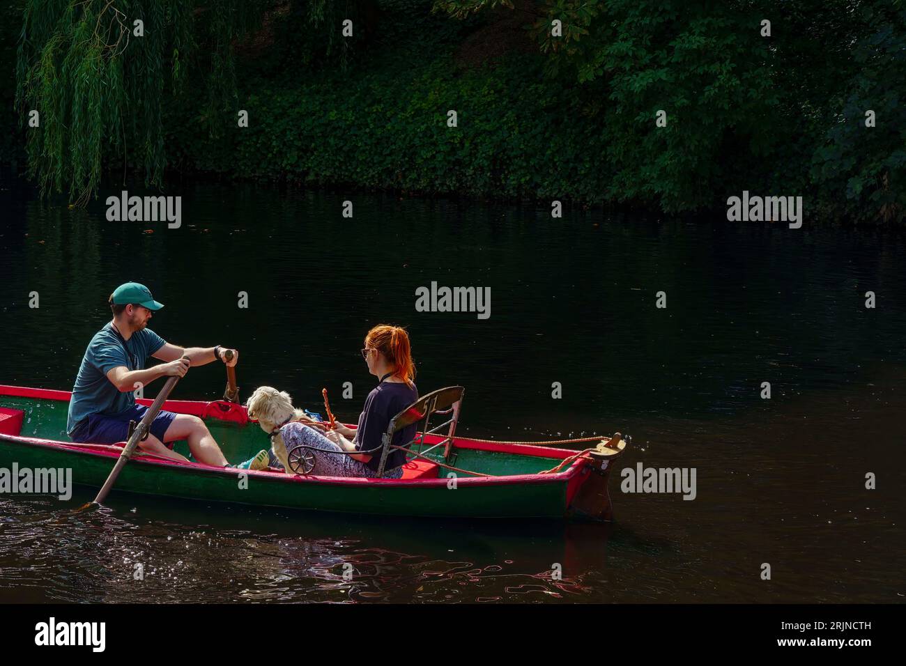 A sunlit couple and their white dog can be seen rowing  in red and green boat down the River Nidd, Knaresborough, North Yorkshire, UK. Stock Photo