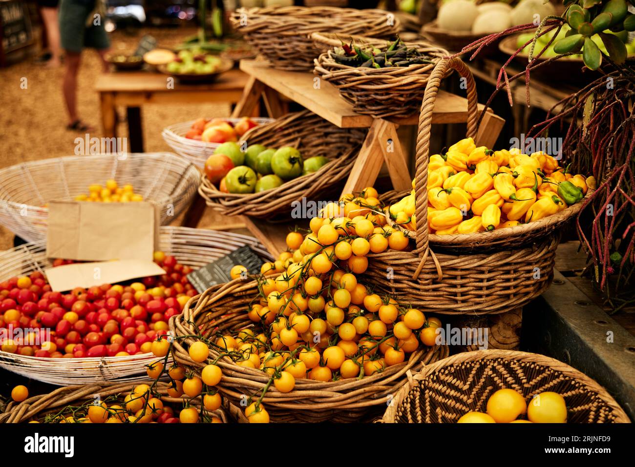 An assortment of brightly coloured fresh fruits and vegetables
