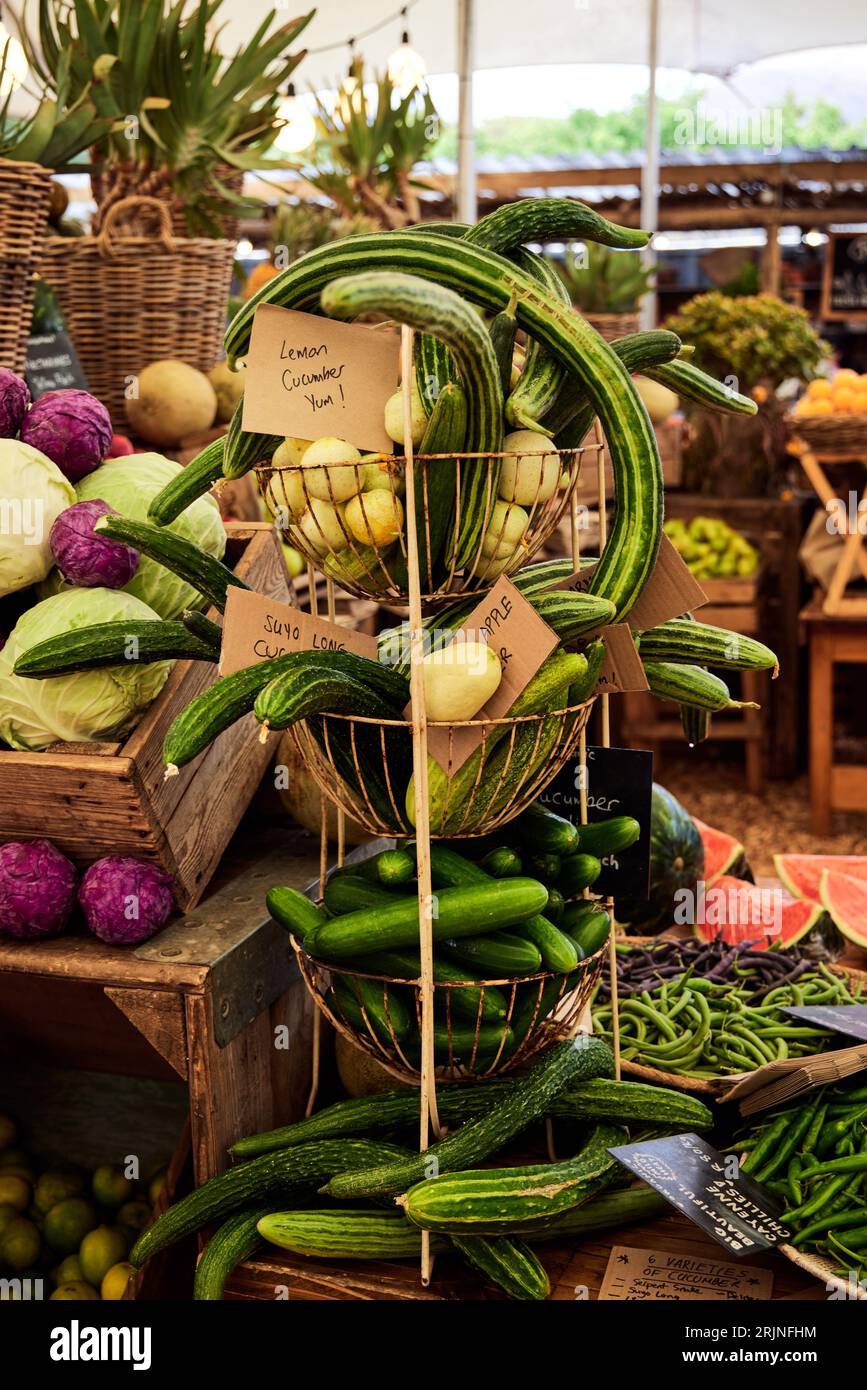 A stand showcasing an array of fresh garden vegetables such as cucumber