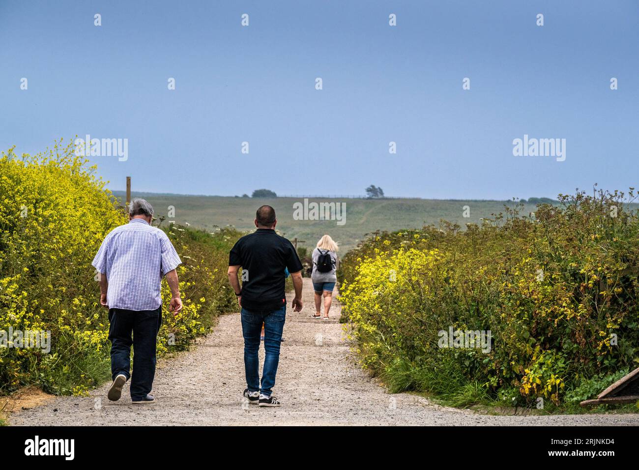 Holidaymakers walking along a country lane on West Pentire in Cornwall in the UK in Europe. Stock Photo