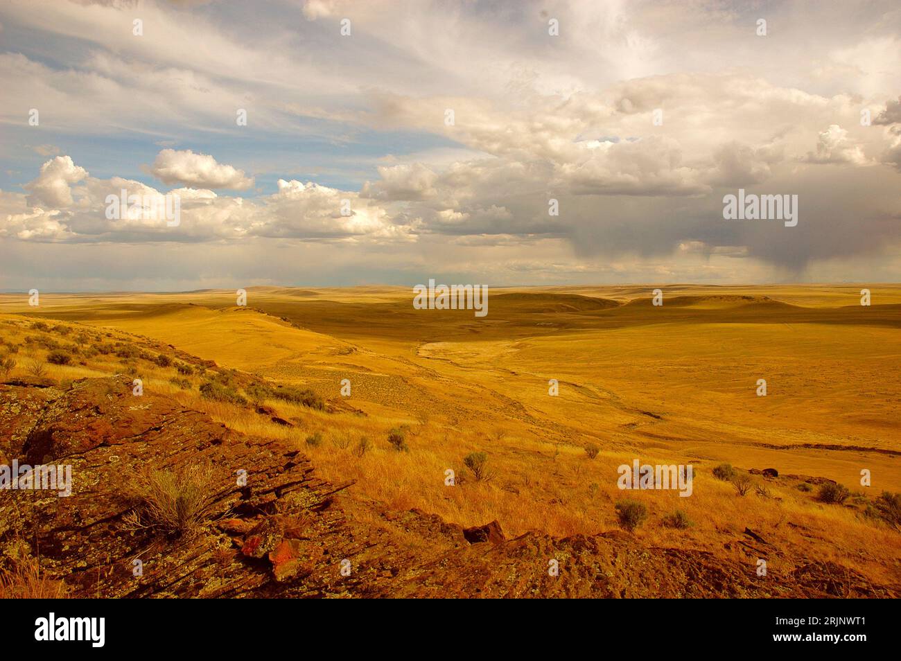 The cloudy sky over the yellow grass field in South of Bruno, Idaho, in ...