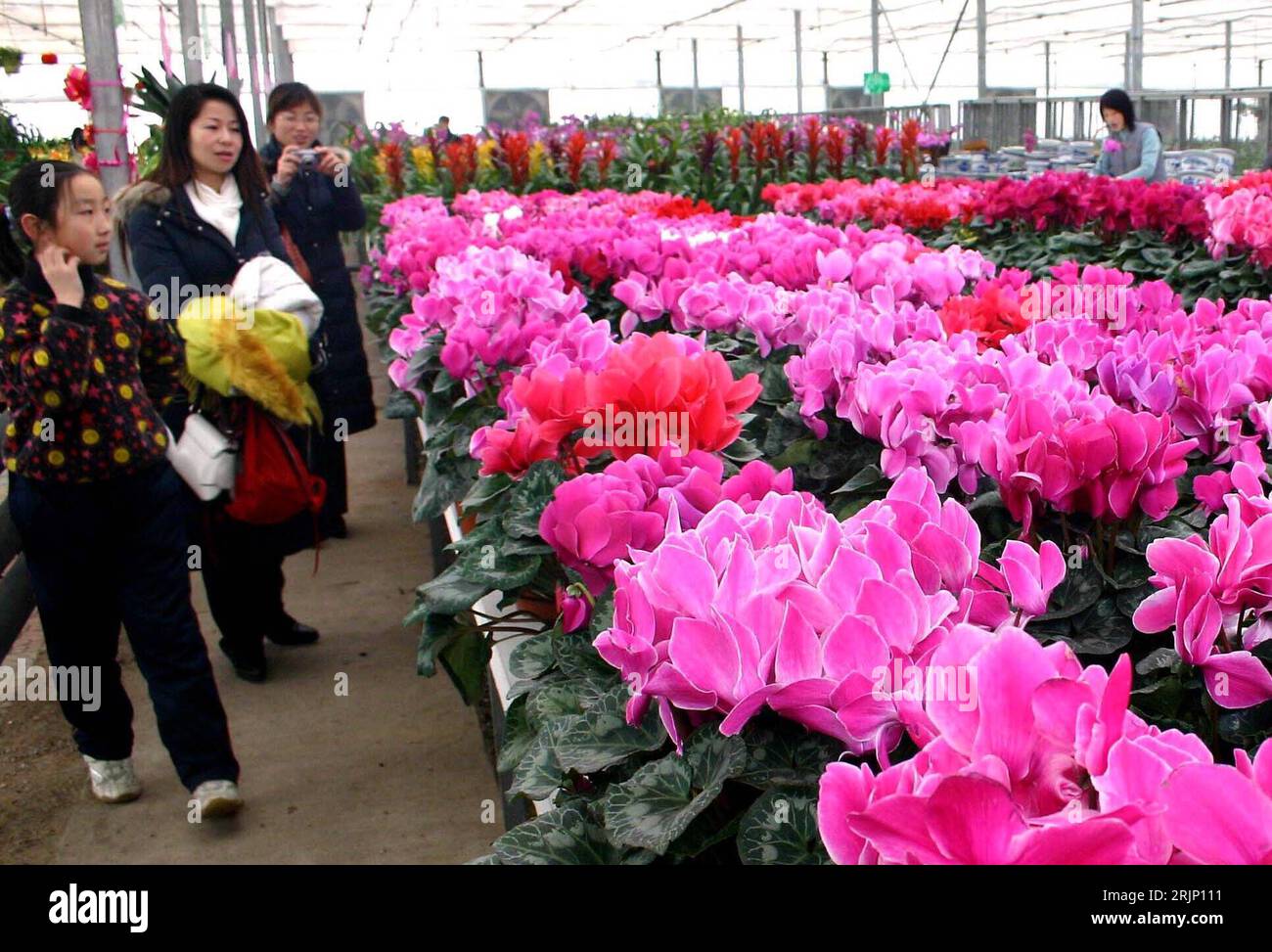 Markt der blumen hires stock photography and images Alamy