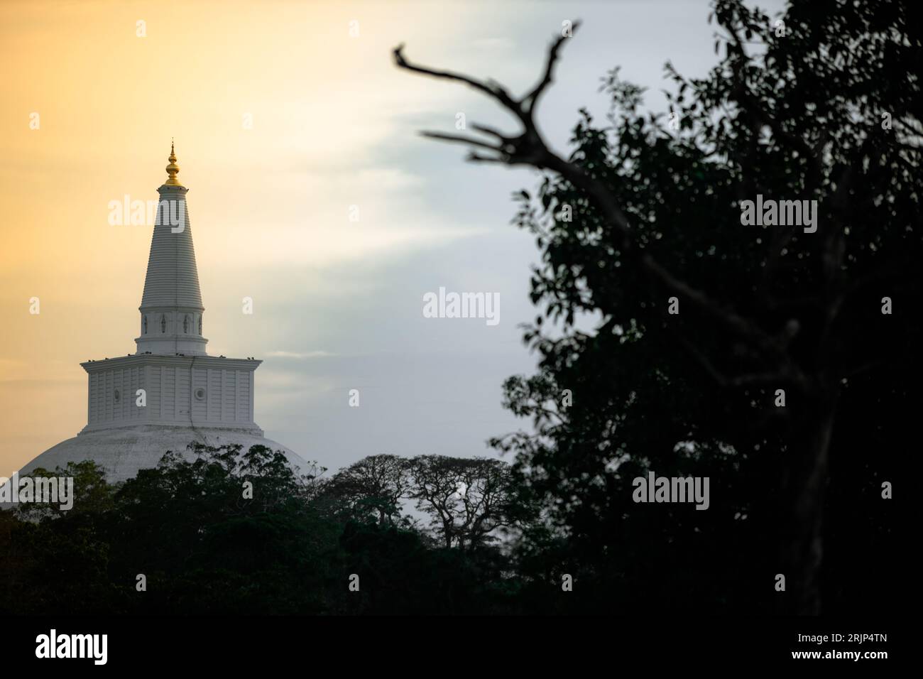 The Ruwanweli Maha Seya pagoda standing tall amongst a tree-covered landscape. Stock Photo