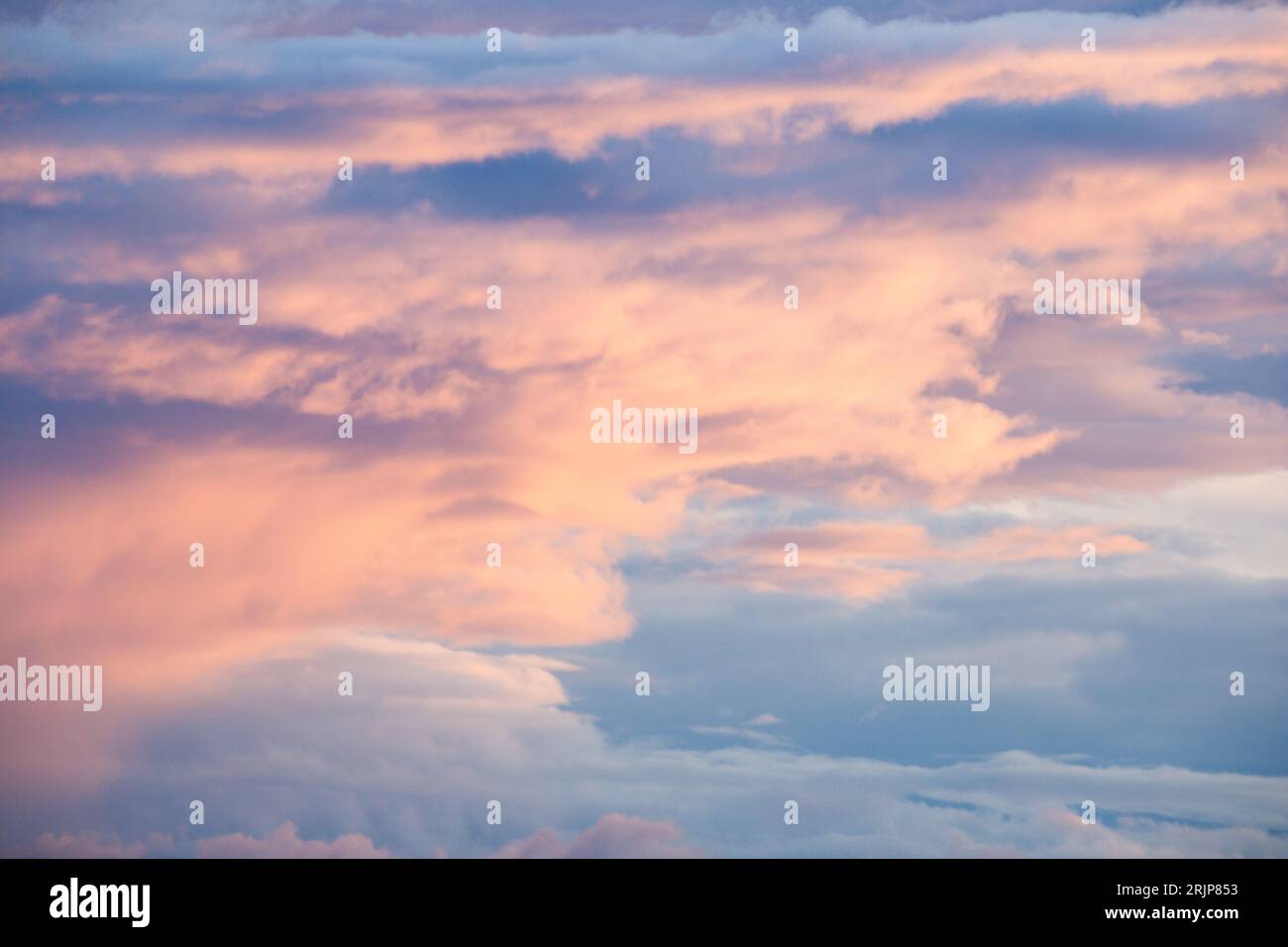 Sky with clouds colored by sunrise. The sky as a background for projects or to change the sky. Dramatic light and color. Stock Photo