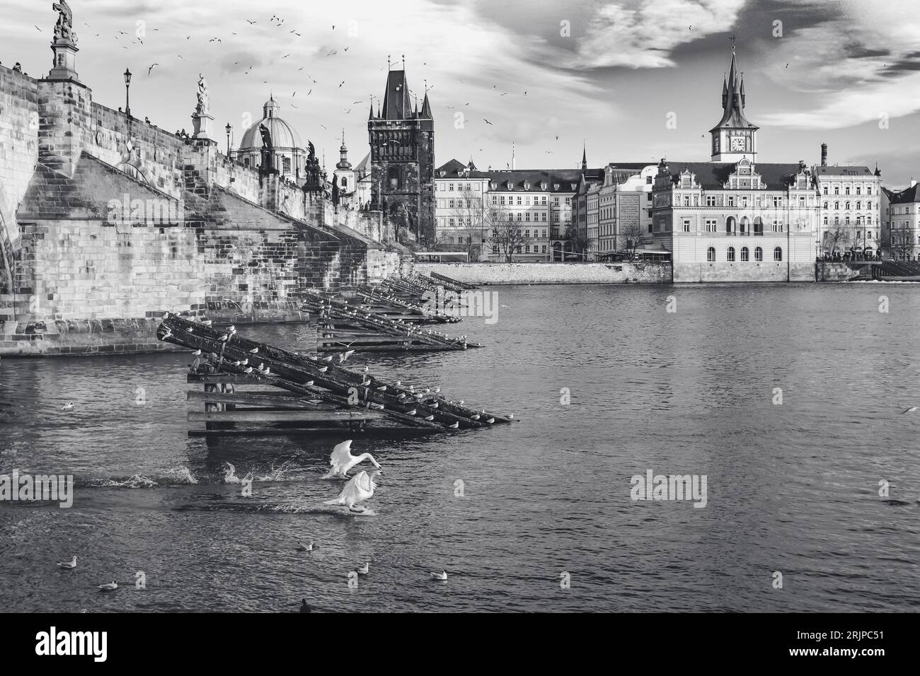 Charles Bridge in Prague, Black and white II, Czech Republic Stock Photo