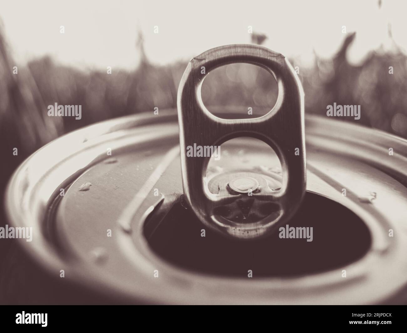 Open tin in grass, relax old, black and white Stock Photo