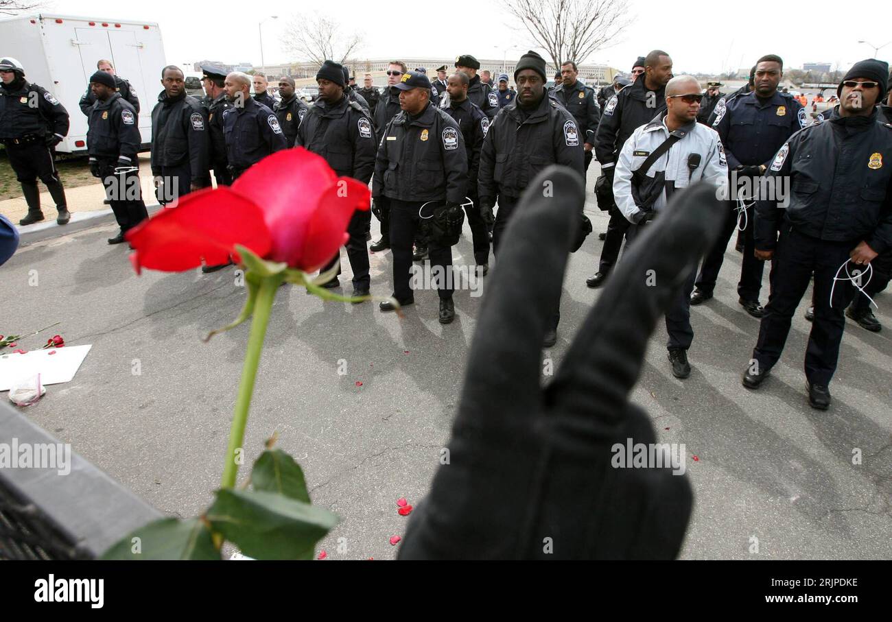 Rote Rose in der Hand eines Demonstranten vor der Polizeibarrikade am Pentagon-Gelände anlässlich einer Anti-Kriegs-Protestaktion in Washington D.C. - PUBLICATIONxNOTxINxCHN Stock Photo