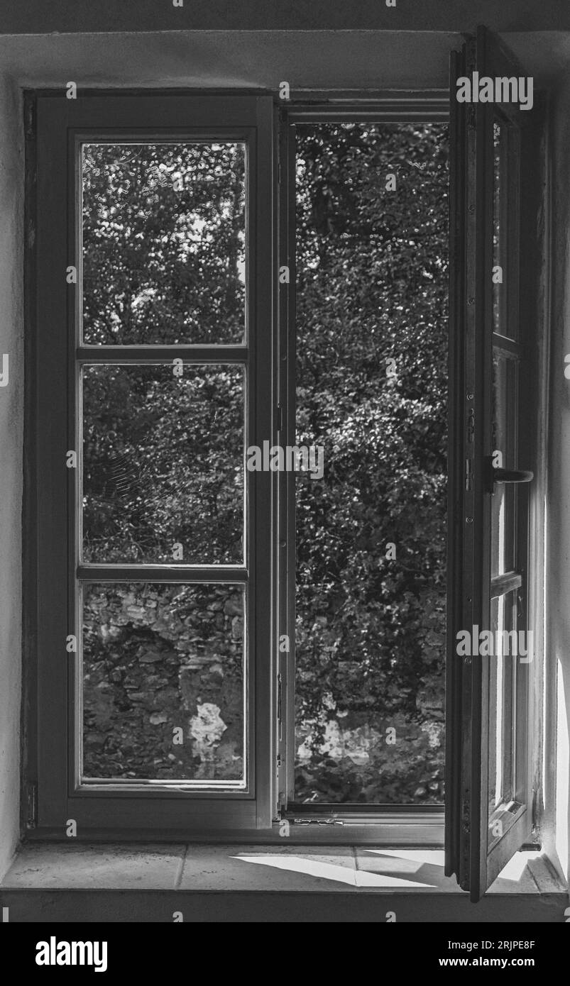 Old wooden window and view of trees, Black and White, Czech Republic Stock Photo