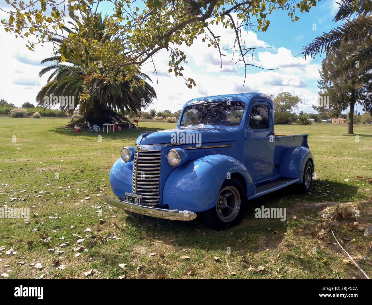 Old blue 1940 Chevrolet Chevy pickup truck hot rod in the countryside under a tree. CAACMACH 2023 classic car show. Sunny day Stock Photo