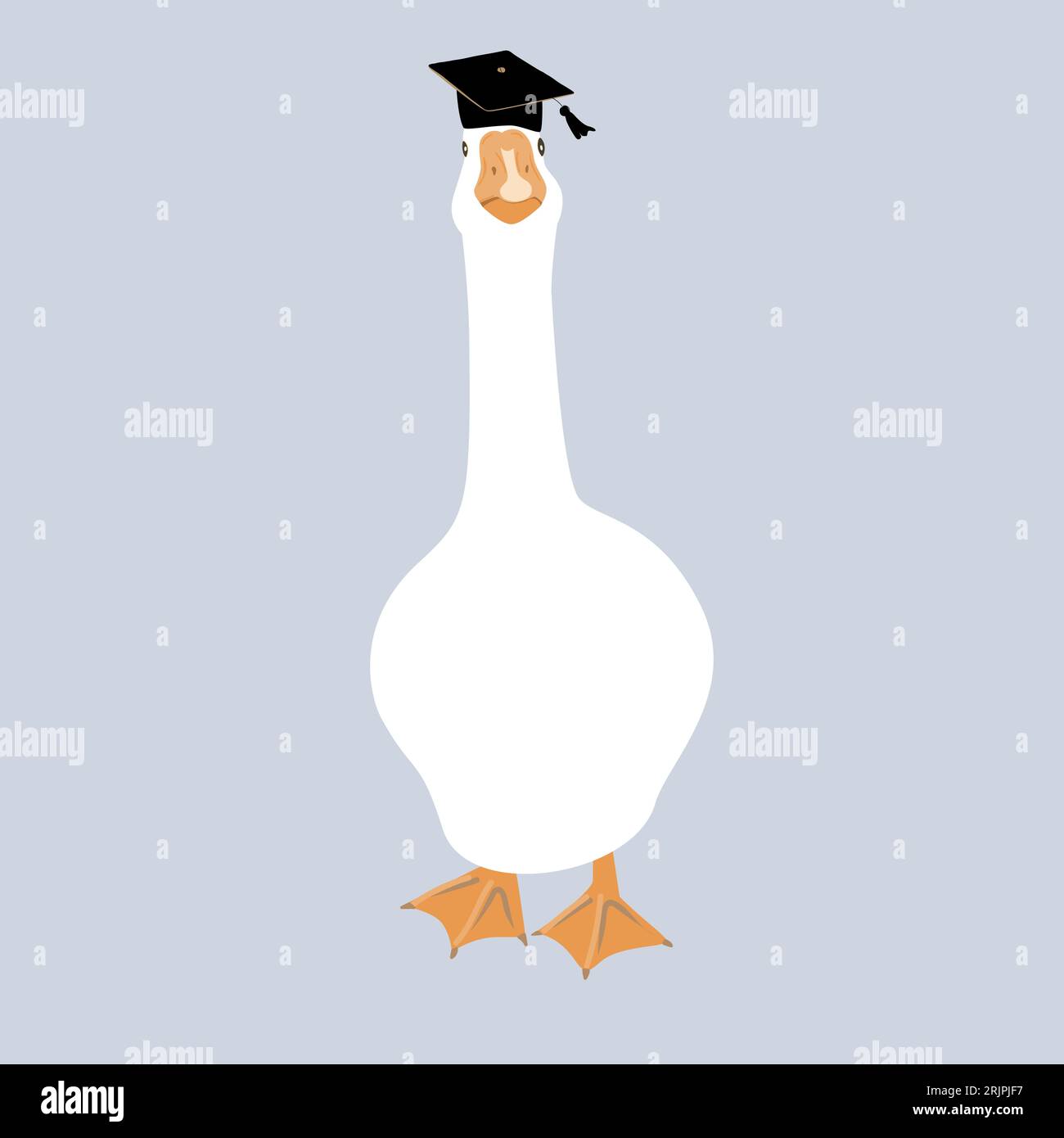 Cute and proud graduate goose character. Geese head in graduation hat. Vector isolated
